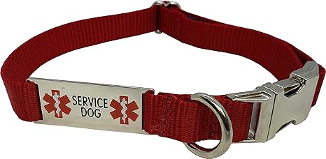 service dog collar amazon