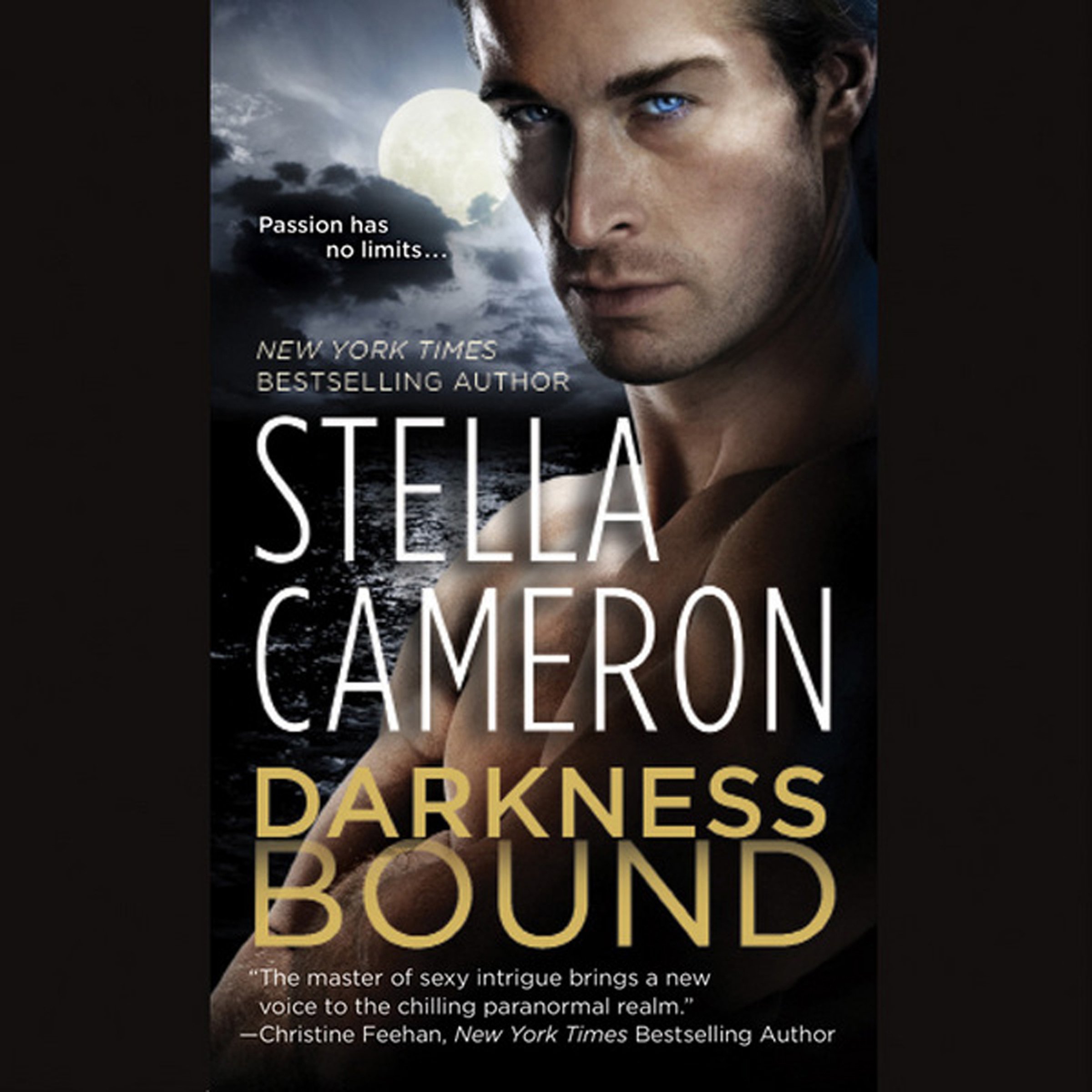 Cover art for Darkness Bound