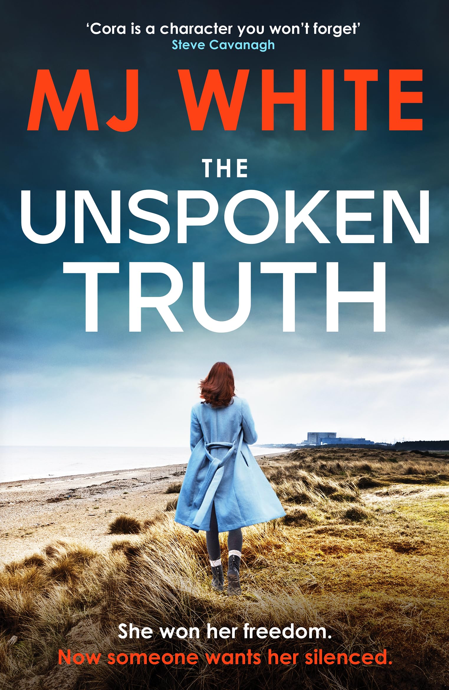 MJ White The Unspoken Truth Paperback Book