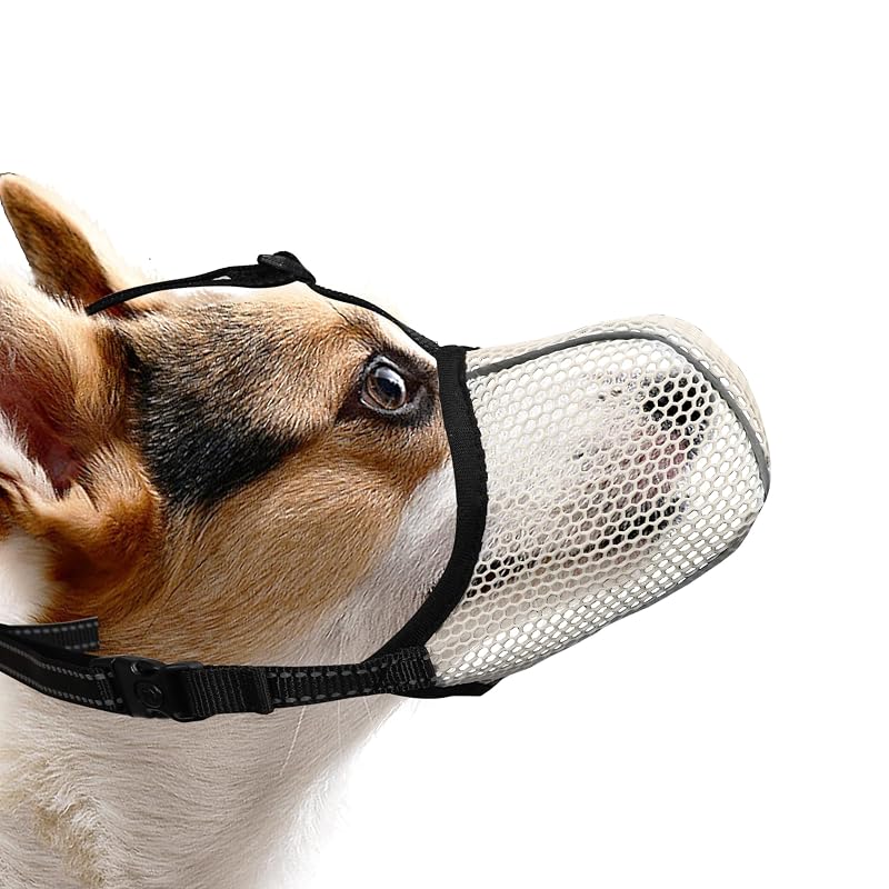 Focinheira de nylon com air mesh para cães pequenos JOYPAWS Beige S