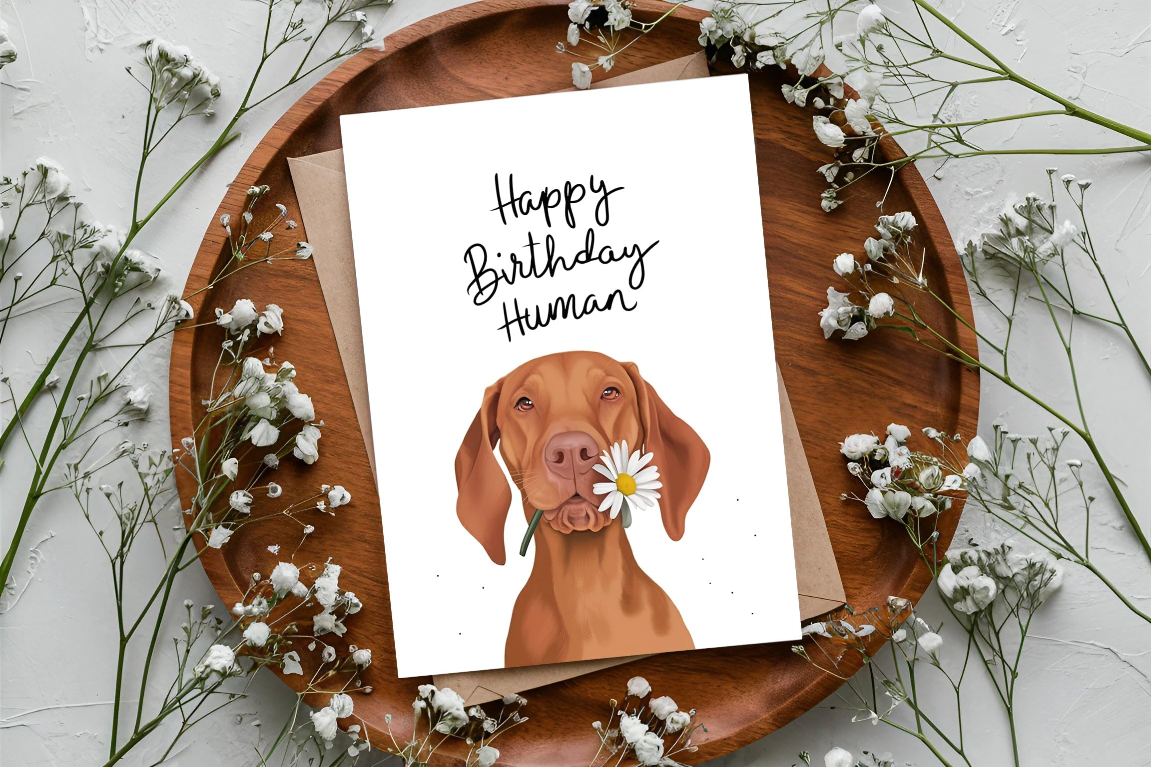 AzluAzlu Hungarian Vizsla Birthday Card - Happy Birthday Human