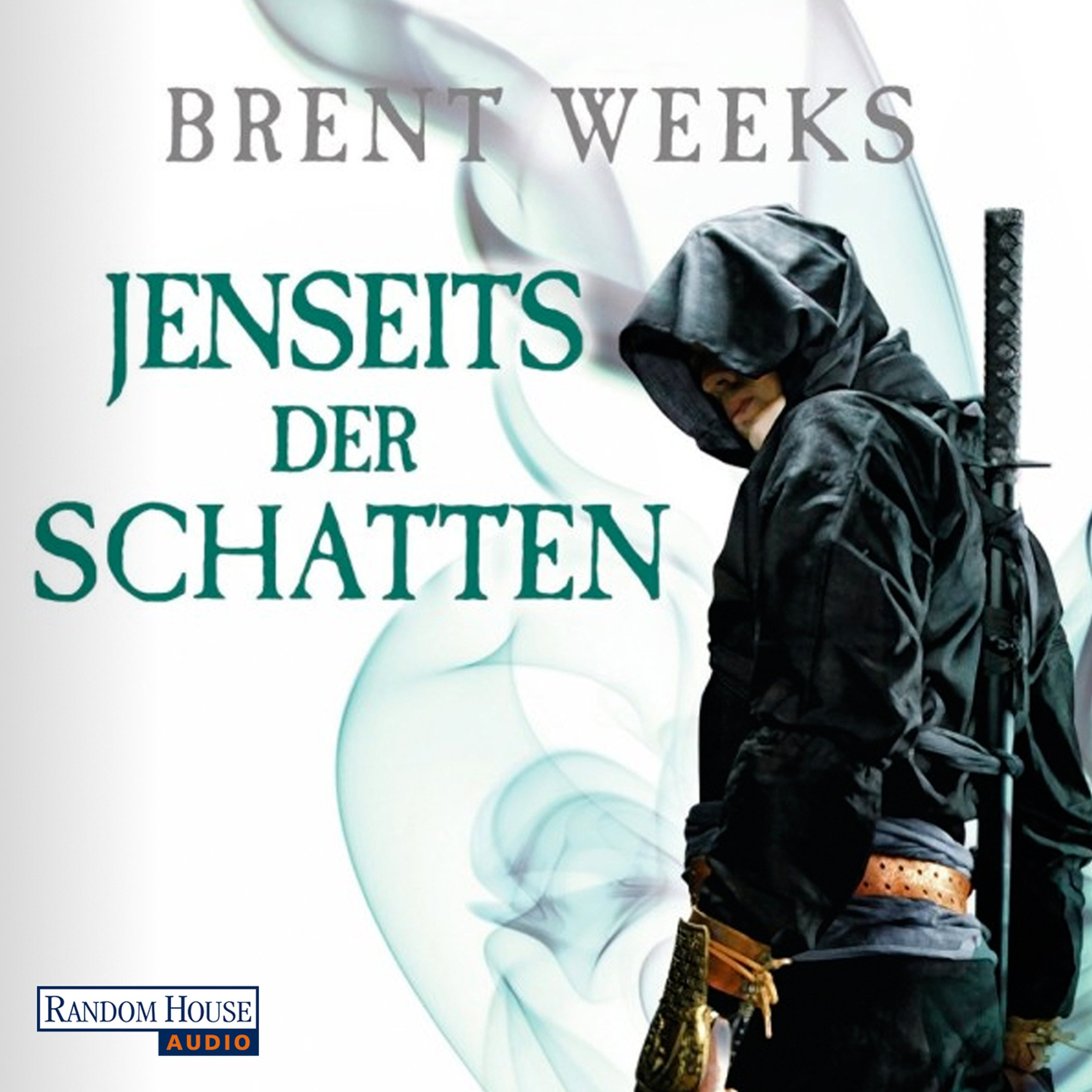 Cover art for Jenseits der Schatten