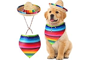 Festive Cinco De Mayo Dog Outfit: Sombrero Hat and Bandana