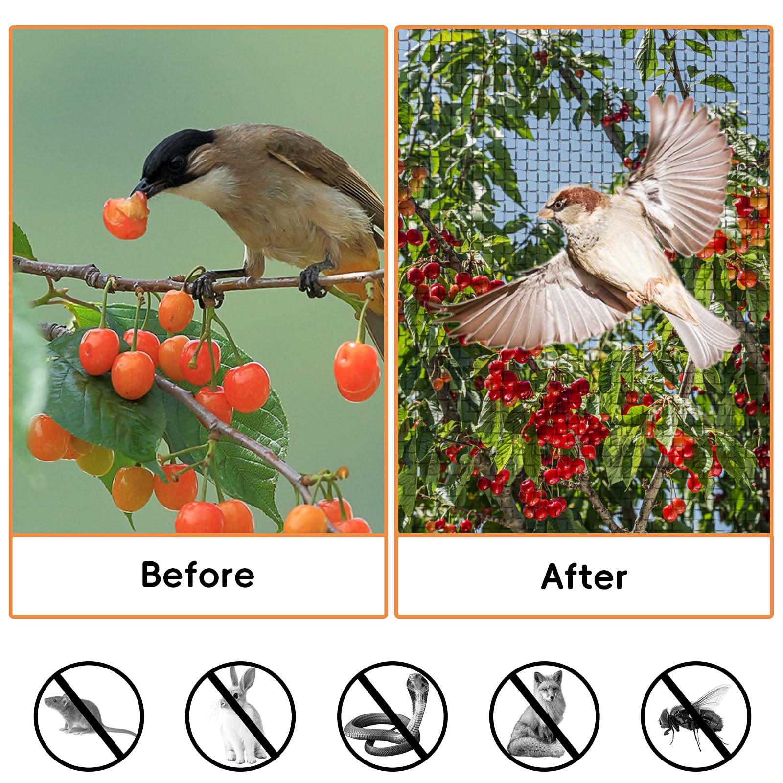 BLOSTM Edelstahl Drahtgitter Rolle 30x100cm - 304 Rostfrei Feines Insektengitter