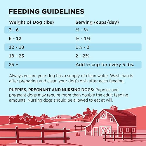 Miniatura 7 de BIXBI Liberty - Comida liofilizada para perros, decoración y batidora, carne de res, 10 onzas