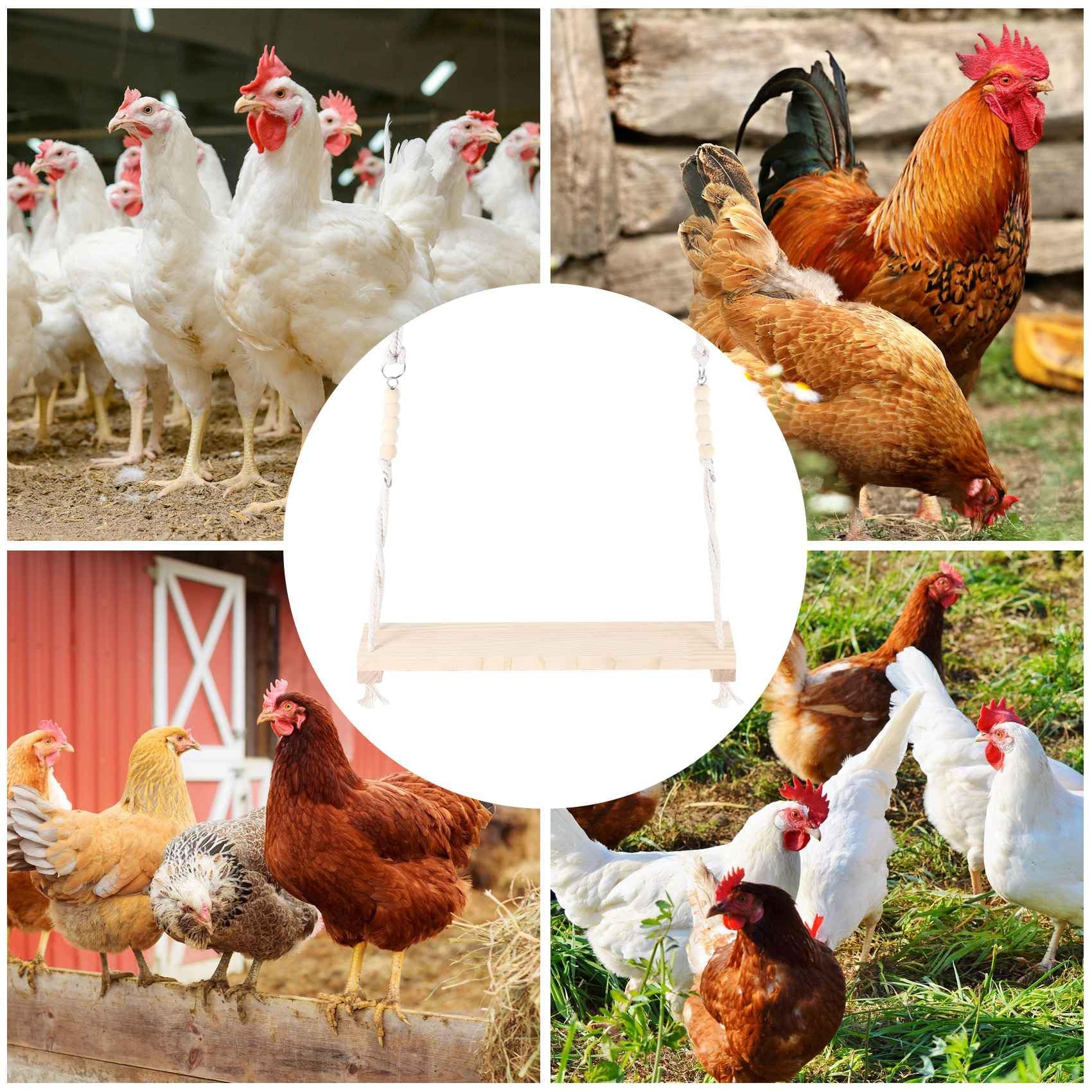 Giocattolo 'Altalena di Pollo per Accessori nel Legno Naturali Sicuri di Pesce Persico Grande e Durevole per Galline da Cortile