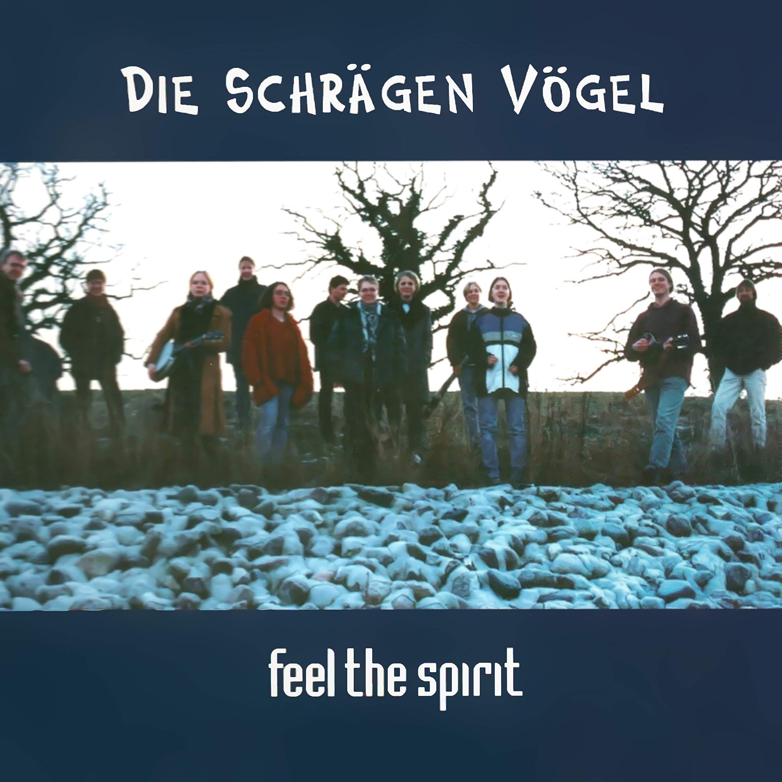 Die Schrägen Vögel
