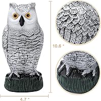 Vista 3 de KKY 2 paquetes de pájaro de búho de plástico falso, estatua de búho de jardín, puede repeler palomas lejos de la casa, jardín, piscina.