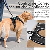 Ver la foto 6