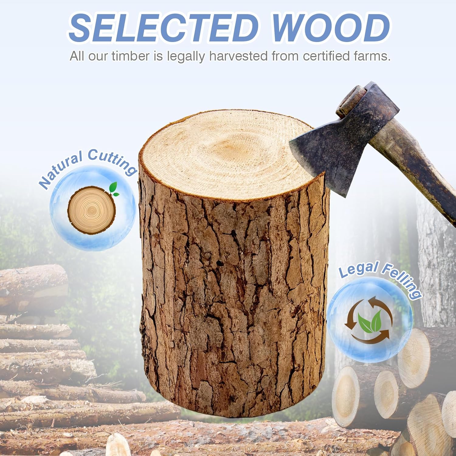 Newest Windows 10 Frame Beehive Hand Painted Includes Unassembled Bee Hive Box with Beehive Frames and Foundations (2 Deep & 2 Medium) - Image 4