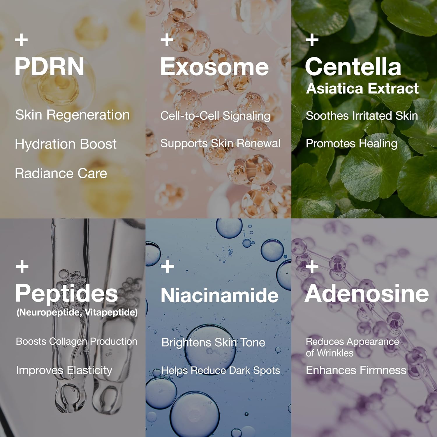 PDRN 1000 Plus Cream (Polydeoxyribonucleotide sodium) 20g - Made in Korea - Image 3