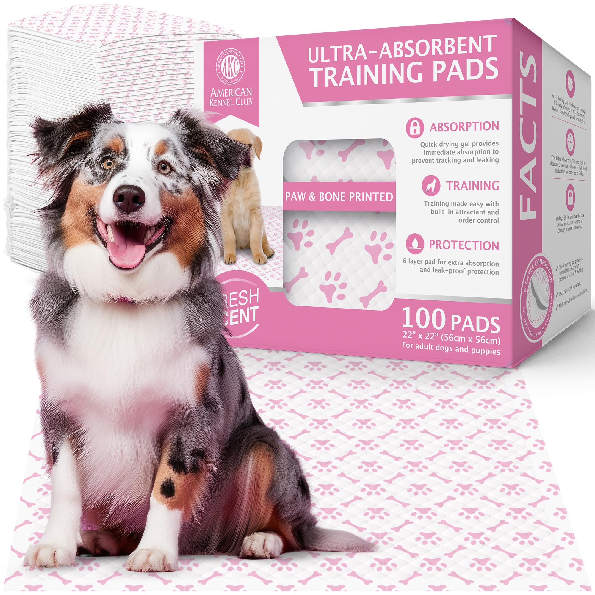 American Kennel Club Paw and Bone Training Pads for Dogs, 100 Count, 22" X 22" Fresh Scented, Absorbent Leak-Proof Dog Pee Pads in Box, Pink