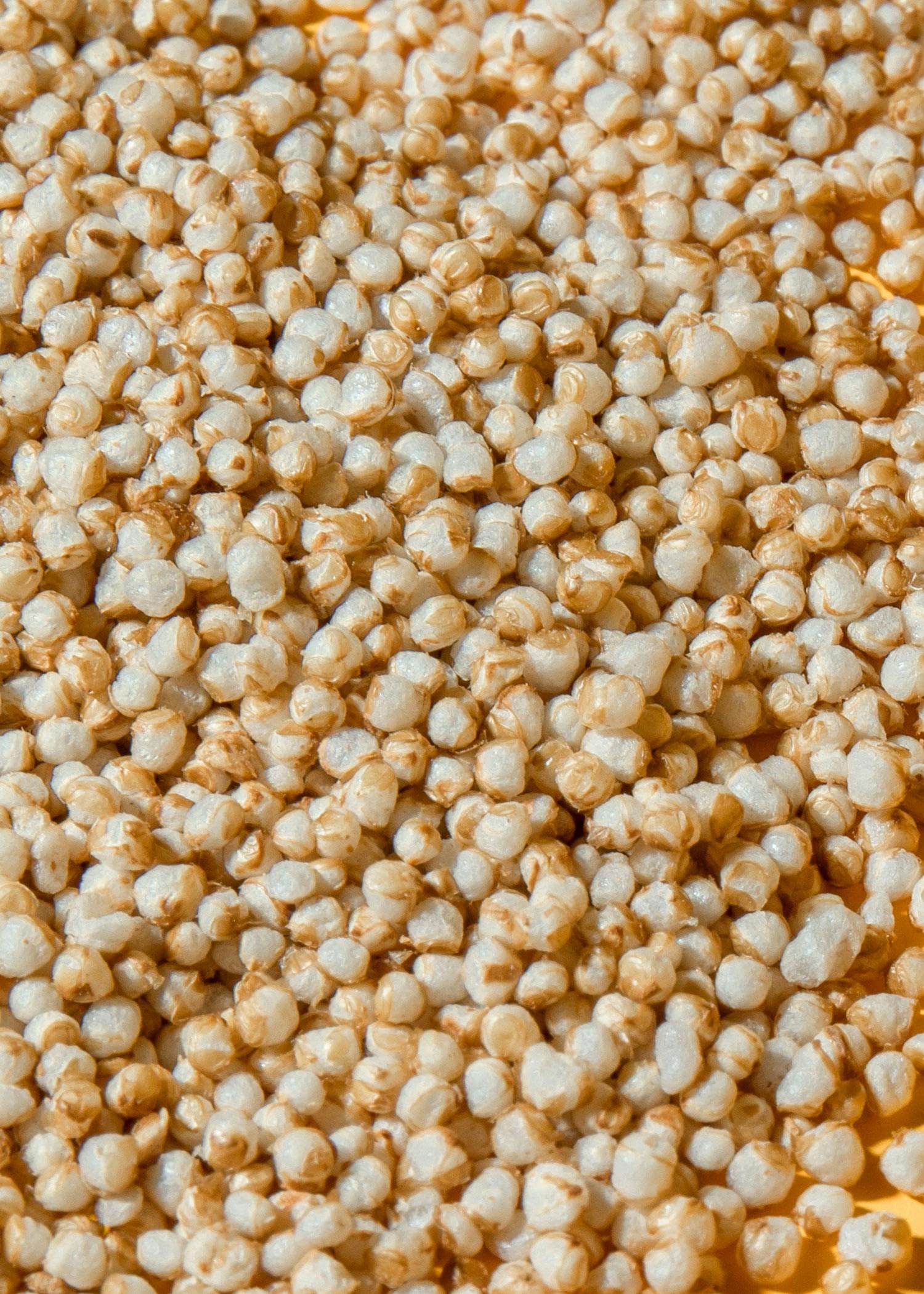 KoRo - Gepuffter Bio Amaranth 6 x 700 g - Gepuffte Körner - Abwechslungsreiche Beilage - Lecker in Salat, Müsli, Porridge - Hoher Ballaststoffgehalt