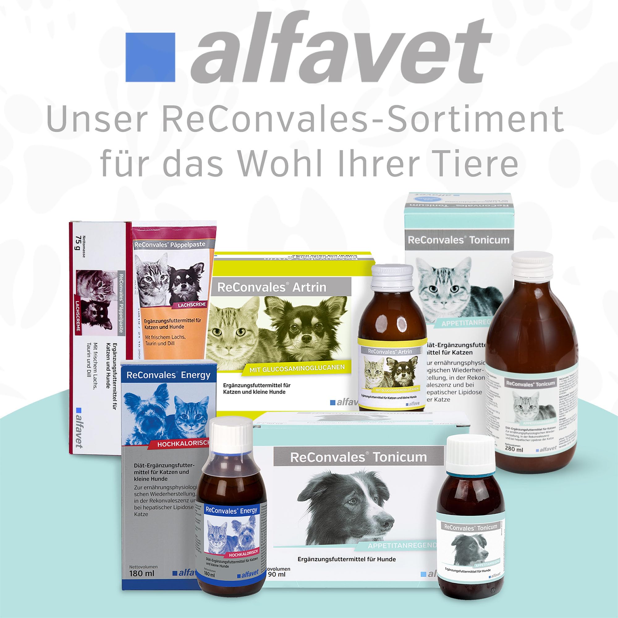 Alfavet ReConvales Tonicum para gatos | Pack de 3 | 3 x 280 ml | Complemento alimenticio dietético | Para la convalecencia, el bajo peso y la lipidosis hepática del gato