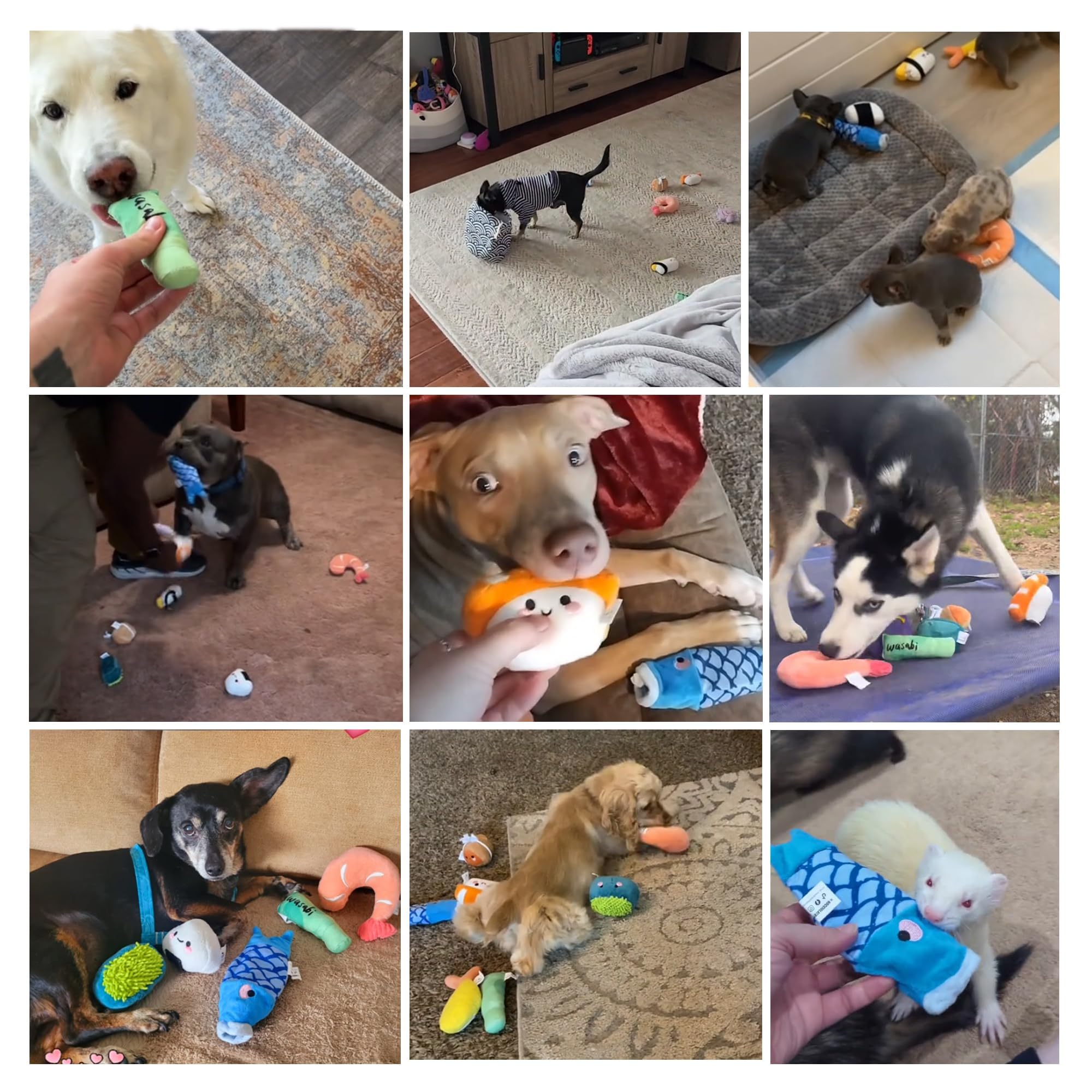 Nocciola 10pcs Jouet Chiot, Jouet pour Petit Chien en Peluche | Jouets pour Chiens avec Couineurs et Sac,Jouet Occupation Chien pour Exercice Intellectuel / Physique / Affectif, Sushi