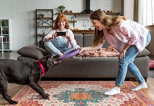 Vista 55 de Moynesa Alfombra de pasillo ultrafina lavable, vintage, de 2 pies 6 x 8 pulgadas, antideslizante, resistente a las manchas, resistente a