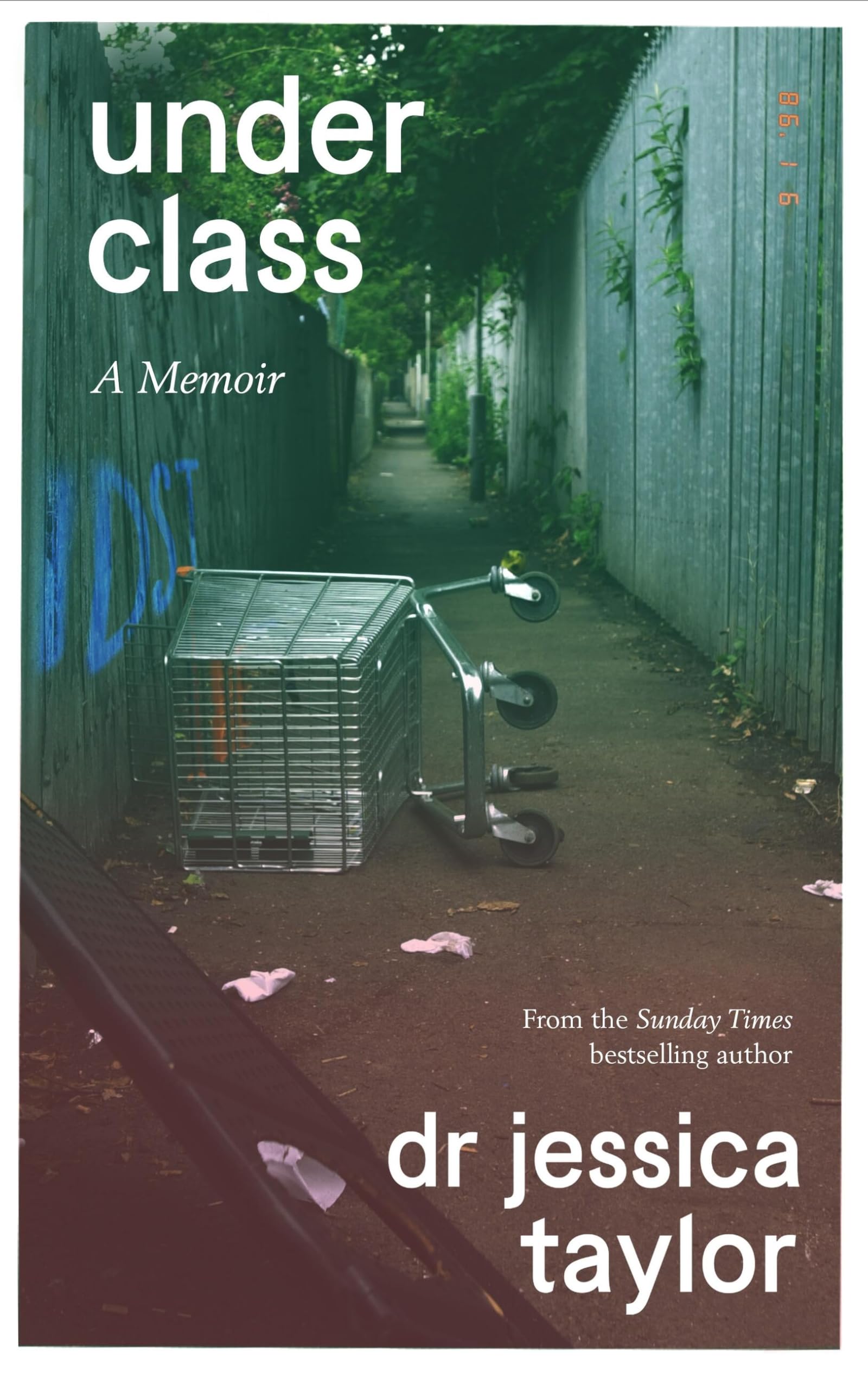 Underclass A Memoir by Dr Jessica Taylor (Paperback Book)