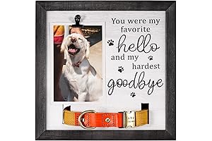 Personalized Dog Collar Picture Frame - Cherish the Memories of Your Beloved Dog