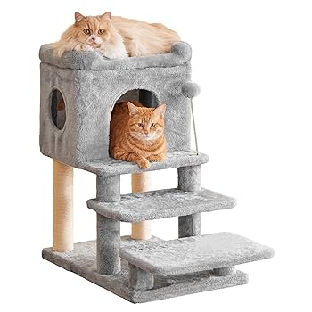 猫ひた　小林希大　セット　出品価格　７５０円 Amazon | PAWZ Road キャットタワー 低い 低め ミニ スリム 大型