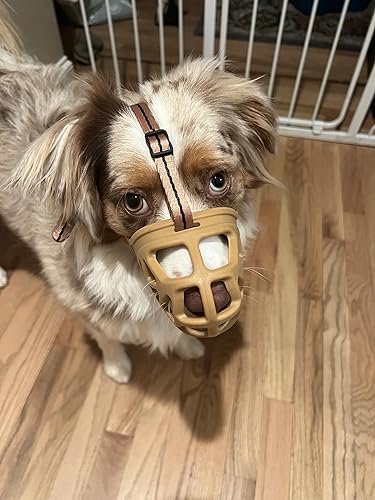 Vista 13 de Bozal para perro, bozal impreso para perros pequeños, medianos y grandes, perro salchicha, beagle, pastor alemán, bozales transpirables