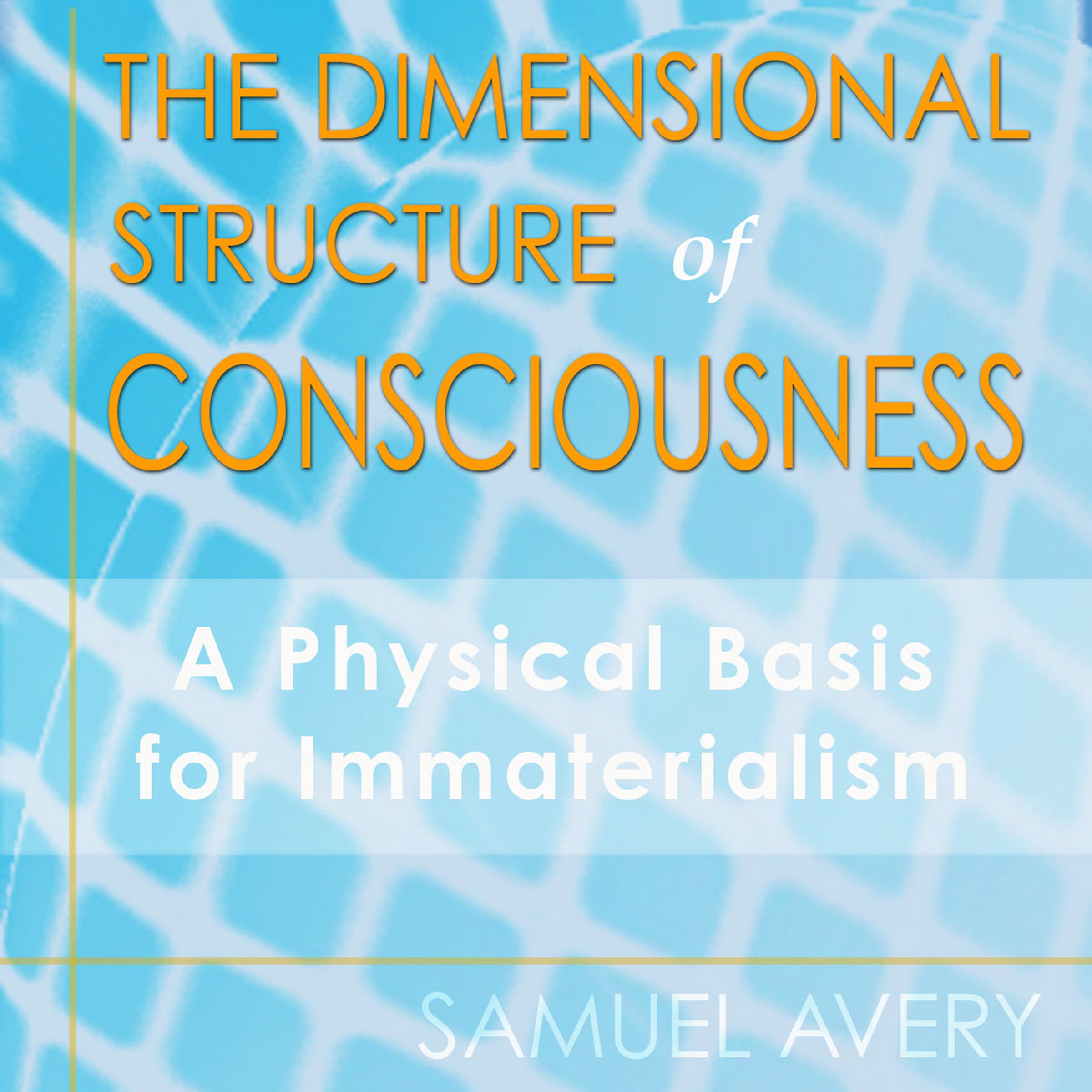 Cover art for The Dimensional Structure of Consciousness: A Physical Basis for Immaterialism