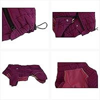 Vista 5 de Chaleco cálido de doble capa para perro, 4 patas cubiertas, resistente al viento, impermeable, reflectante para perros pequeños, medianos y grandes