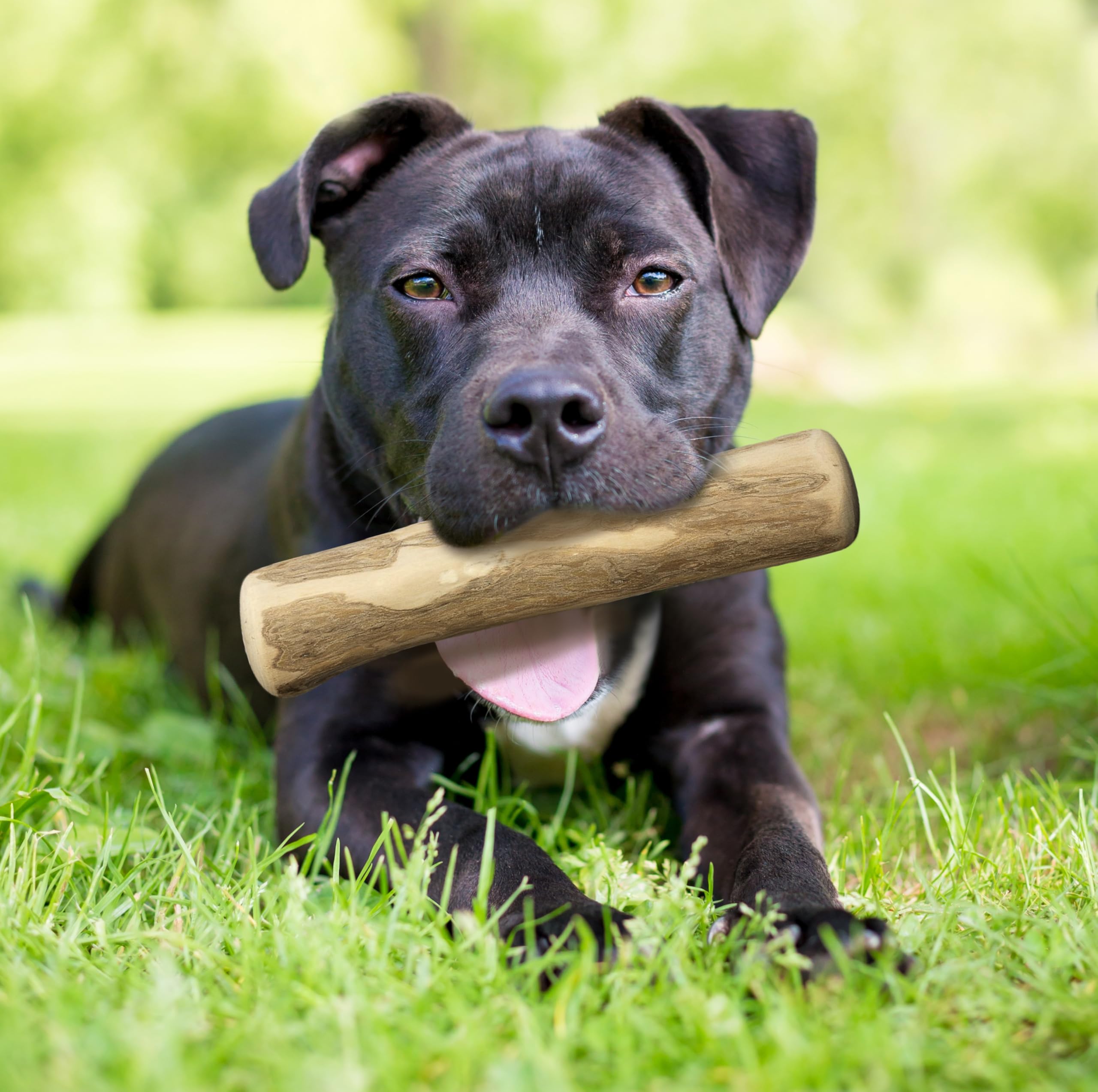 Fuzzl Coffee Stix - Juguetes masticables para Perros de Madera de café, Juguetes Naturales, Huesos Resistentes, Pack de 2 Unidades