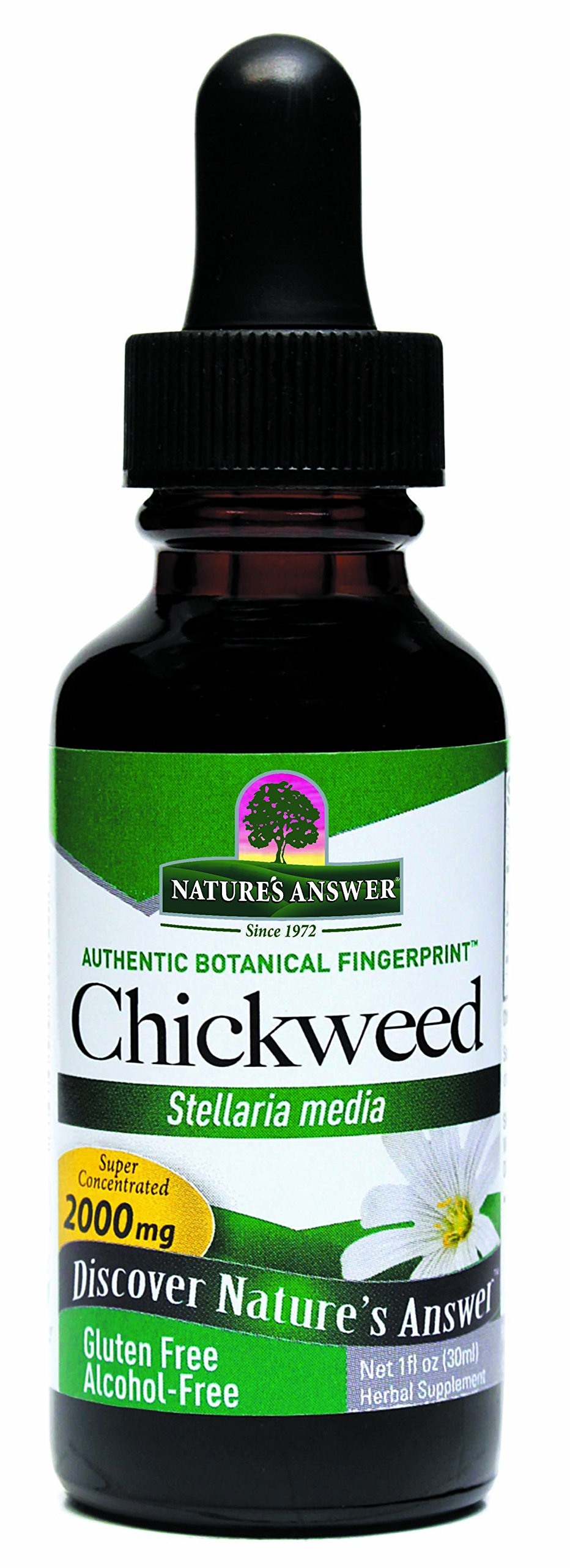 Nature's AnswerChickweed Stelleria Media 2000mg - Herbal Supplement - Non GMO & Kosher - Alcohol Free Gluten Free 100% Vegan - 1 FL Oz (30ml)