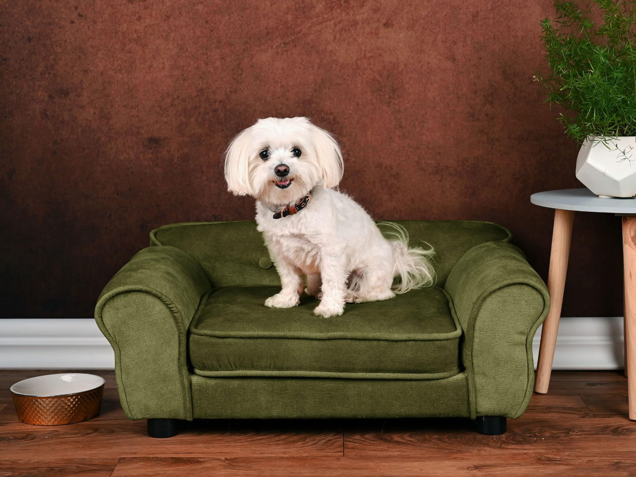 MG Design Sofá para Mascotas en Verde Oliva – Estructura de Madera Estable, Acolchado Suave, fácil de Limpiar, sin Montaje, para Perros y Gatos, Listo para Usar