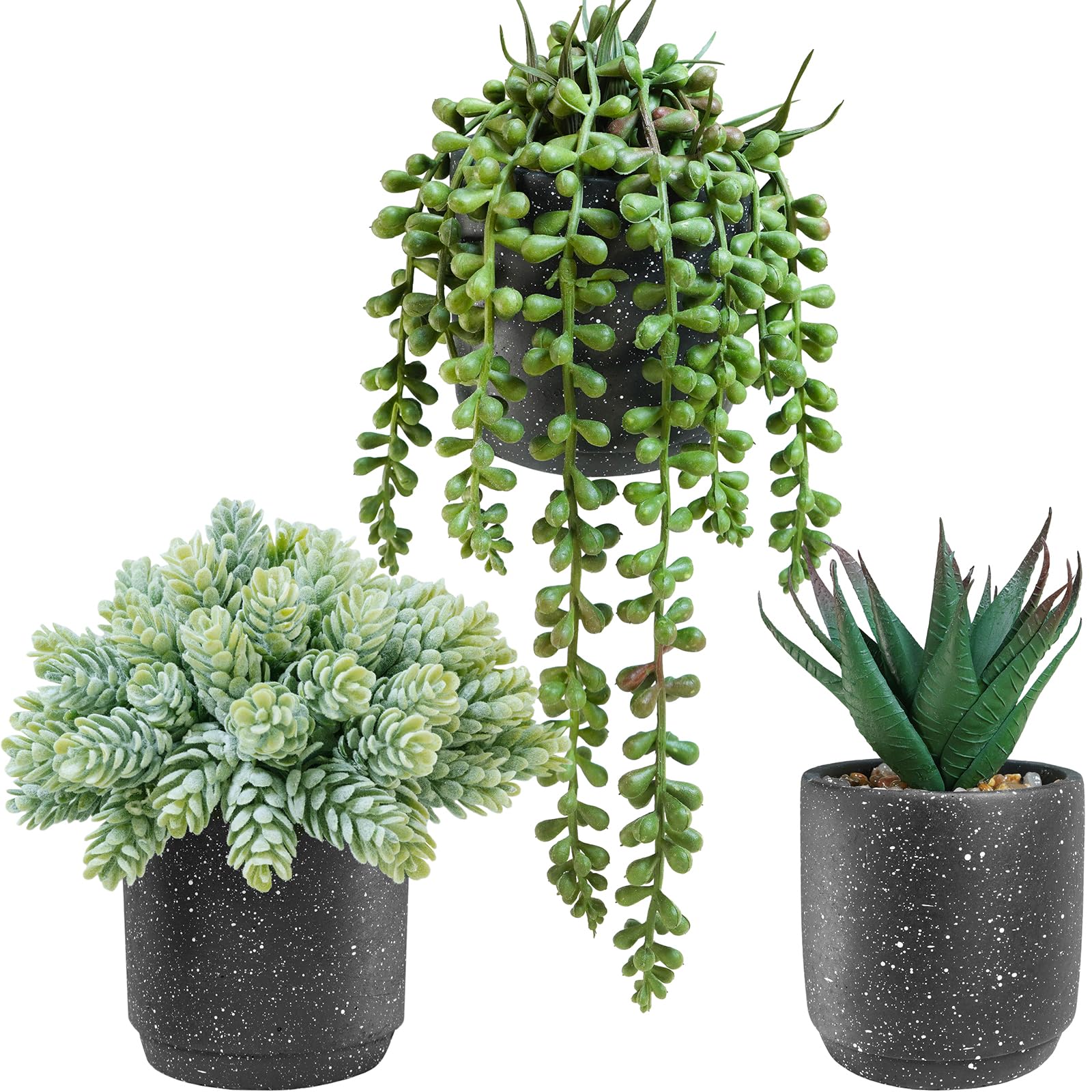 Plantes succulentes artificielles Winlyn lot de 3 en pot de ciment