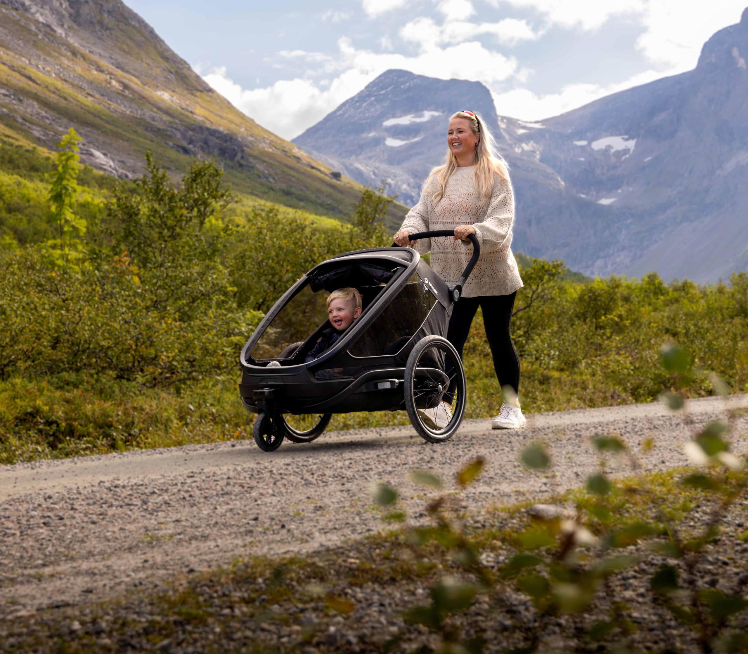 Hamax Outback Next Remorque Vélo Enfant 2 Places, Sièges Inclinables 4 Positions, Suspension Intégrale, Pliable, 40 kg