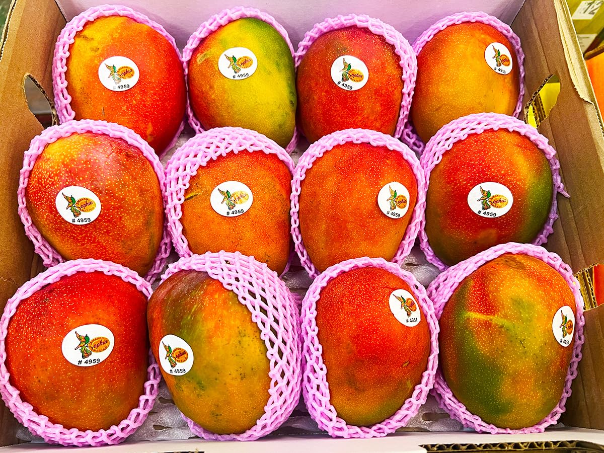 apple mango Amazon.co.jp: Mexico Apple Mango, Approx. 13.2 lbs (6 kg), Large