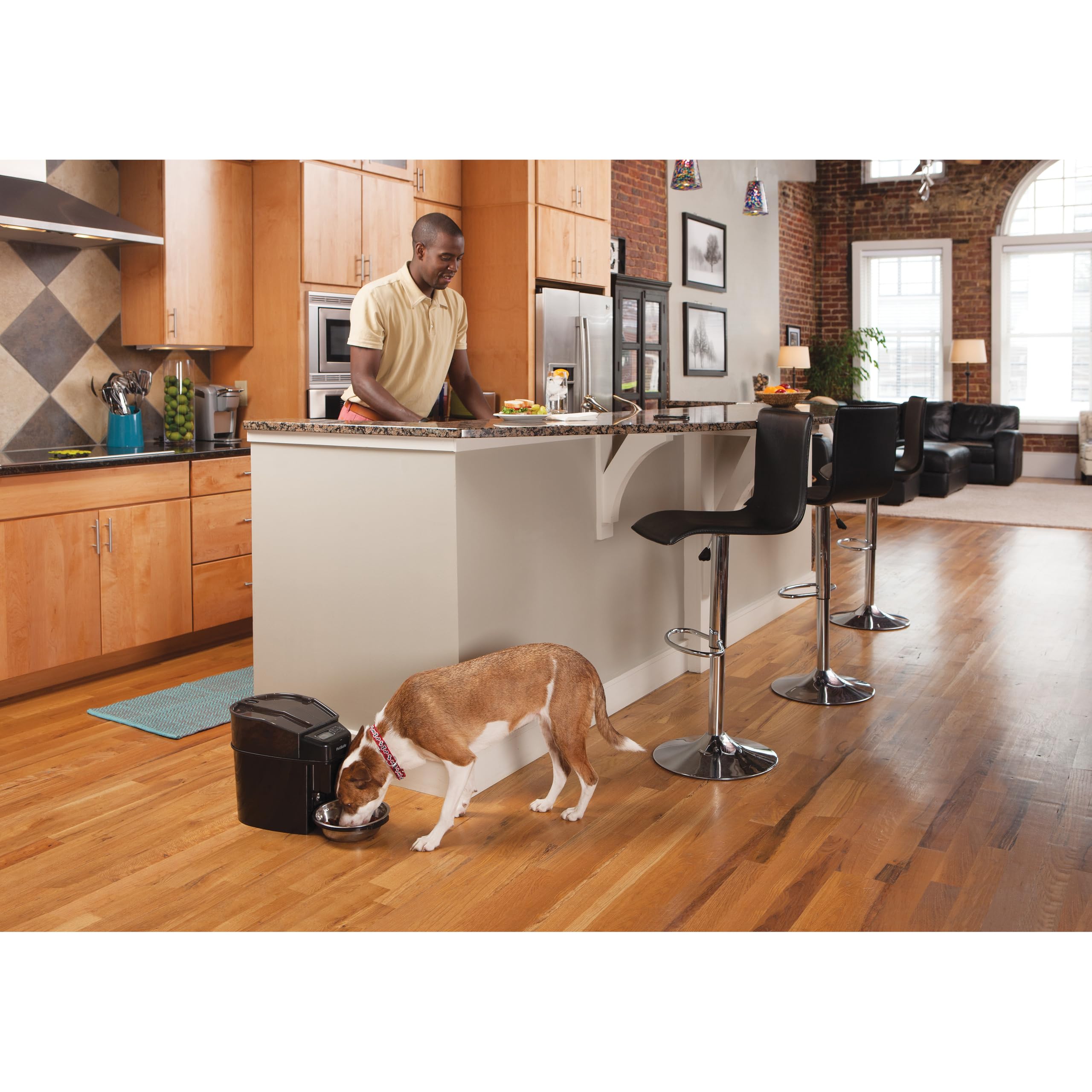 PetSafe Healthy Pet Simply Feed Comedero Automático | Control de Raciones y Programación, Capacidad 24 Tazas