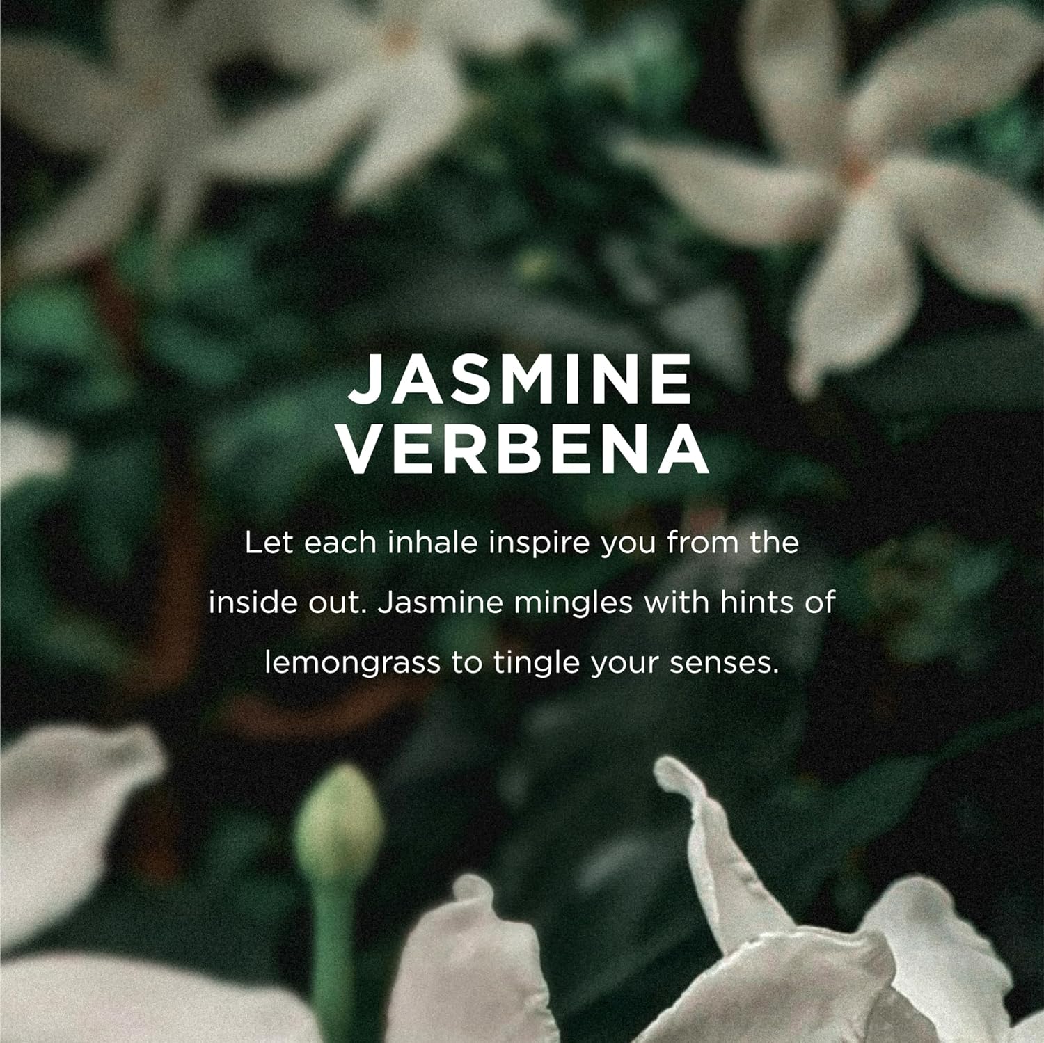 EO Hand Cream, 2.5 Ounce (Pack of 2), Jasmine Verbena, Moisturizer for Dry Skin - Image 4