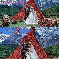 Vista 107 de CODE FLORIST 1100 pétalos de rosa de seda para el día de San Valentín, pétalos de rosa falsos para noches románticas, bodas, propuestas