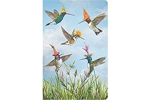 Hester & Cook Vicki Sawyer Hummingbirds Notebook: A Captivating Journal for Expression and Organization