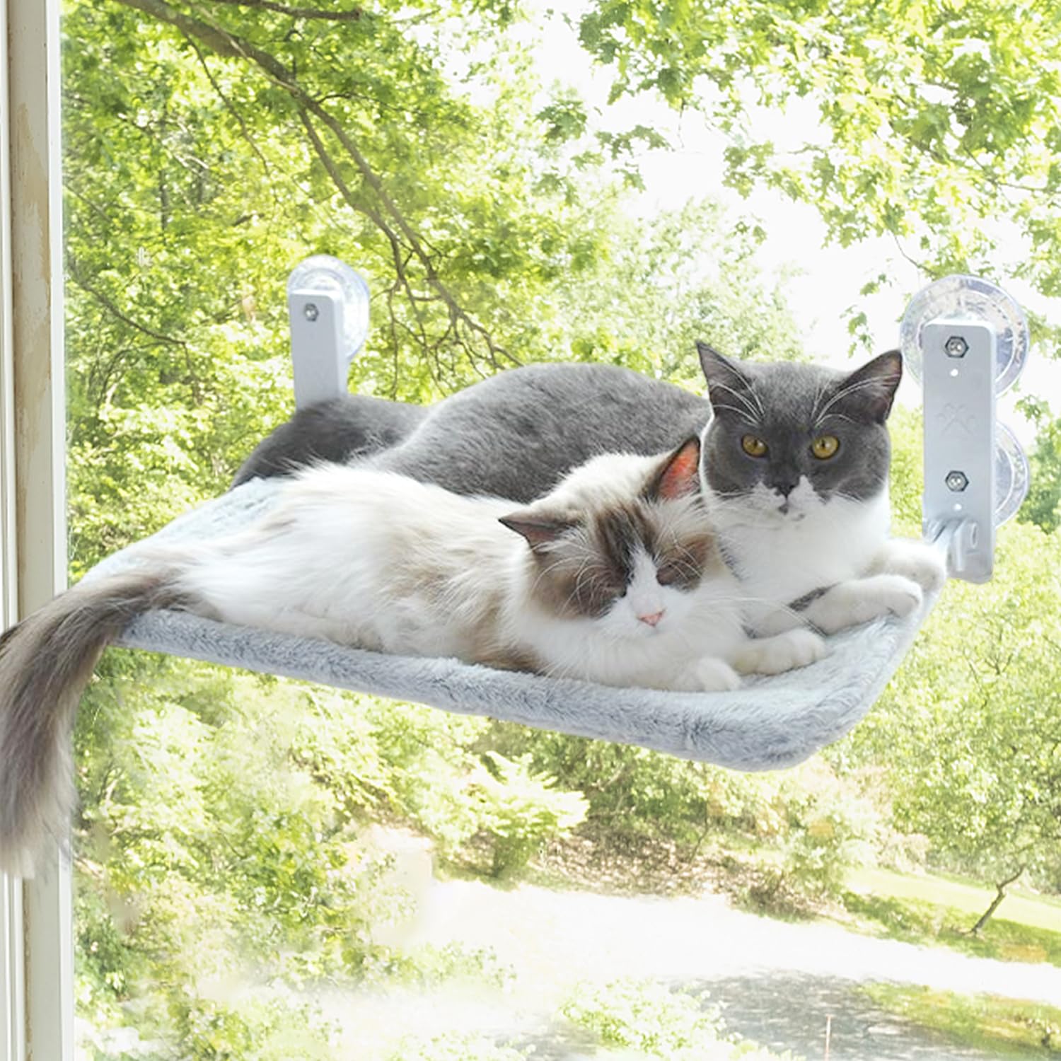 Hamaca Gatos, Cama Colgante Gatos, Plegable Hamaca Gato, Cama Gato Ventana, Hamaca Gato Ventana Cama, Gatos Cama Tumbona, Hamaca Colgante Ventana Gato, Ventosa Resistente Que Puede Transportar 15 Kg