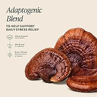 Vista 3 de OM MUSHROOM SUPERFOOD Relax - Cápsulas de hongos, 90 unidades, 30 días, hongos Reishi, Ashwagandha, GABA, L-teanina, magnesio, adaptógenos