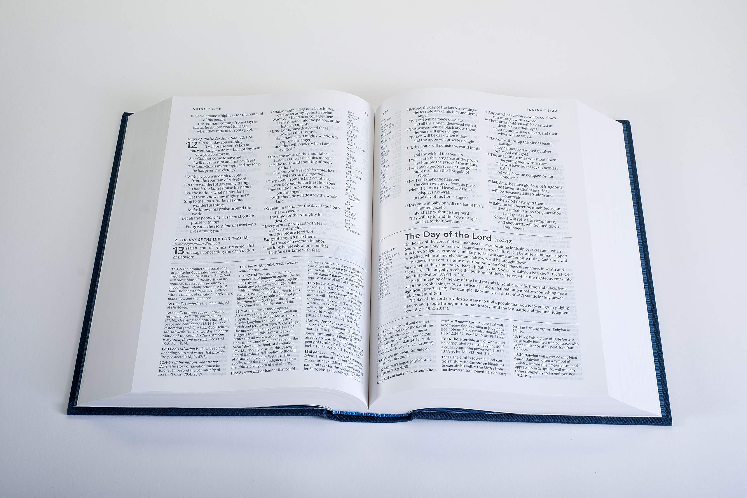 NLT Study Bible: New Living Translation