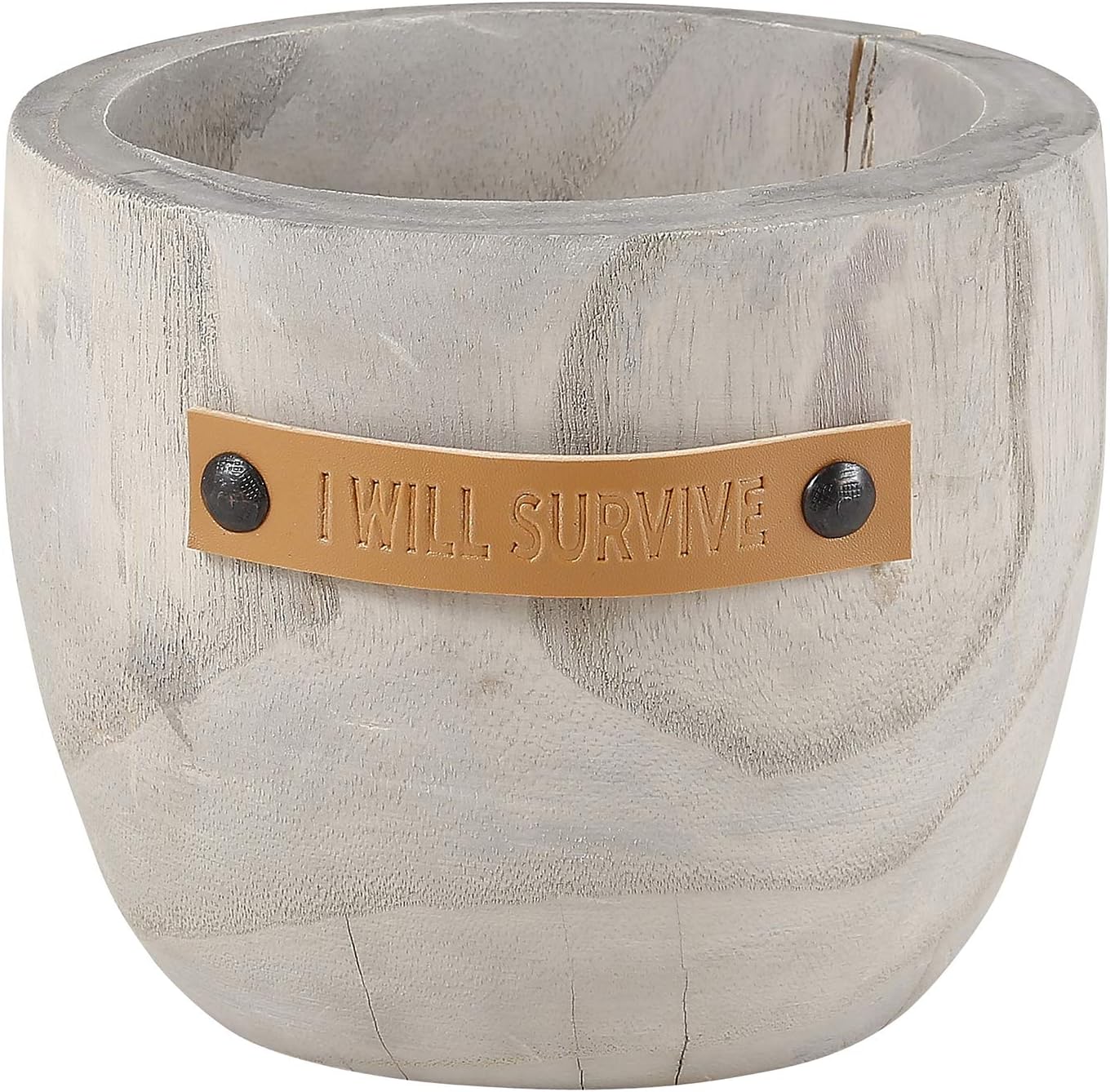 Santa Barbara Design Studio Pure Design Paulownia Wood Planter, Small, I Will Survive
