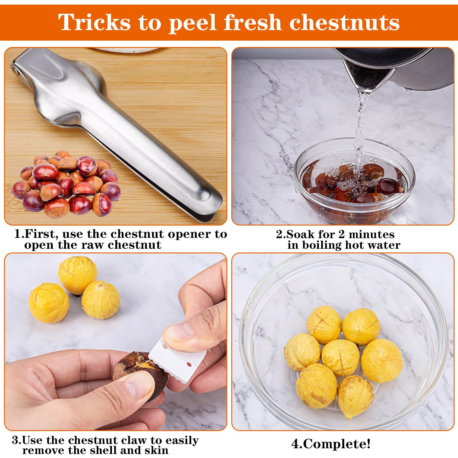 Châtaigne Clip, Pince à Châtaigne En Acier Inoxydable, Clip Noix, Noyer Pince, Noisettes Clips, Ouvre Chataigne, Noisettes Pince Coupe, Pour Châtaignes, Noisettes, Noyer Et D'autres Noix (M2