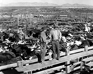 McLintock! John Wayne in the middle of a cattle ranch Photograph - Photo...