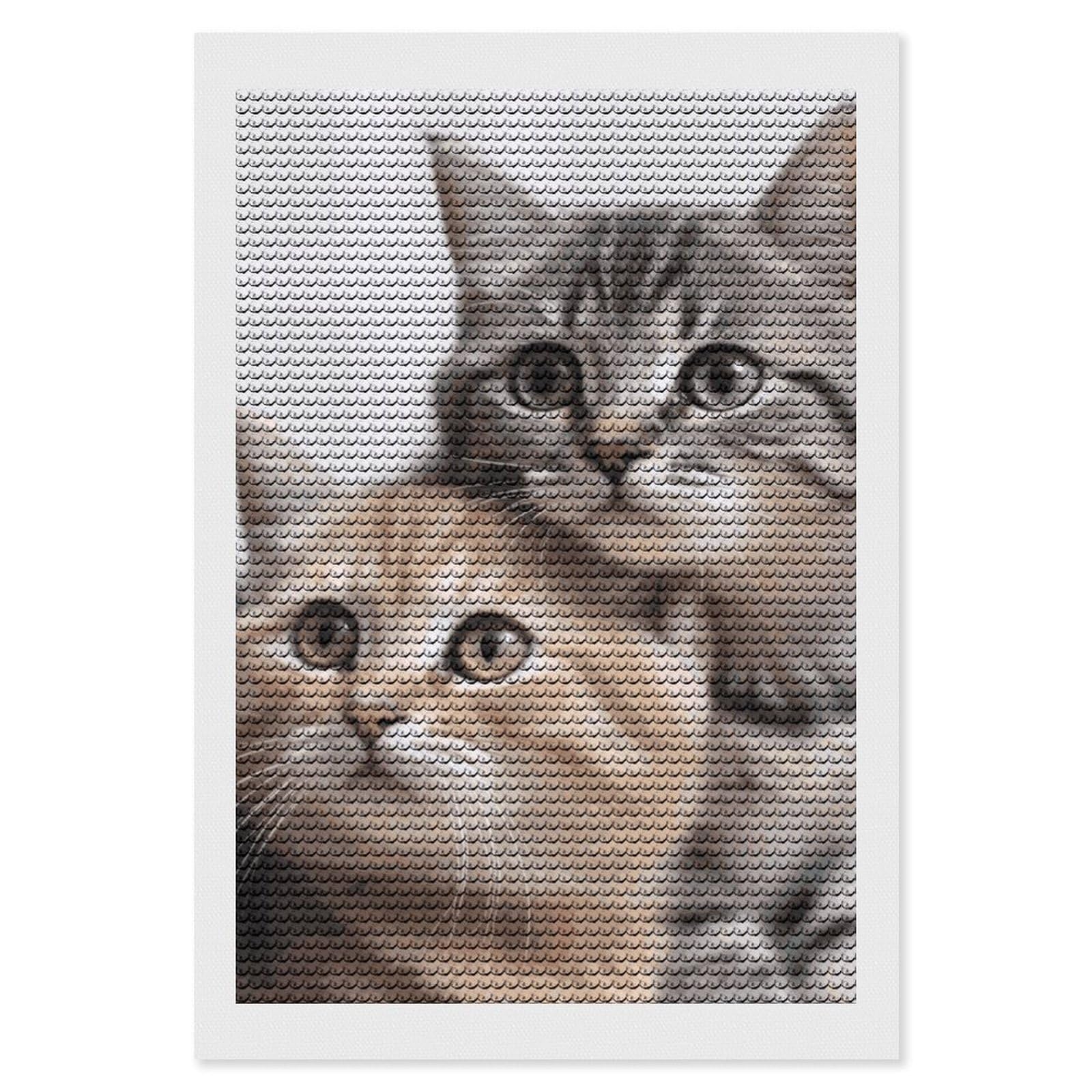 DWVTSLH Cats Diamond Painting Kits for Adults, Personalized Diamond Photo Art Full Drill, DIY 5D Diamond Art Painting Kits for Beginners, Home Wall Decor 8"x12"