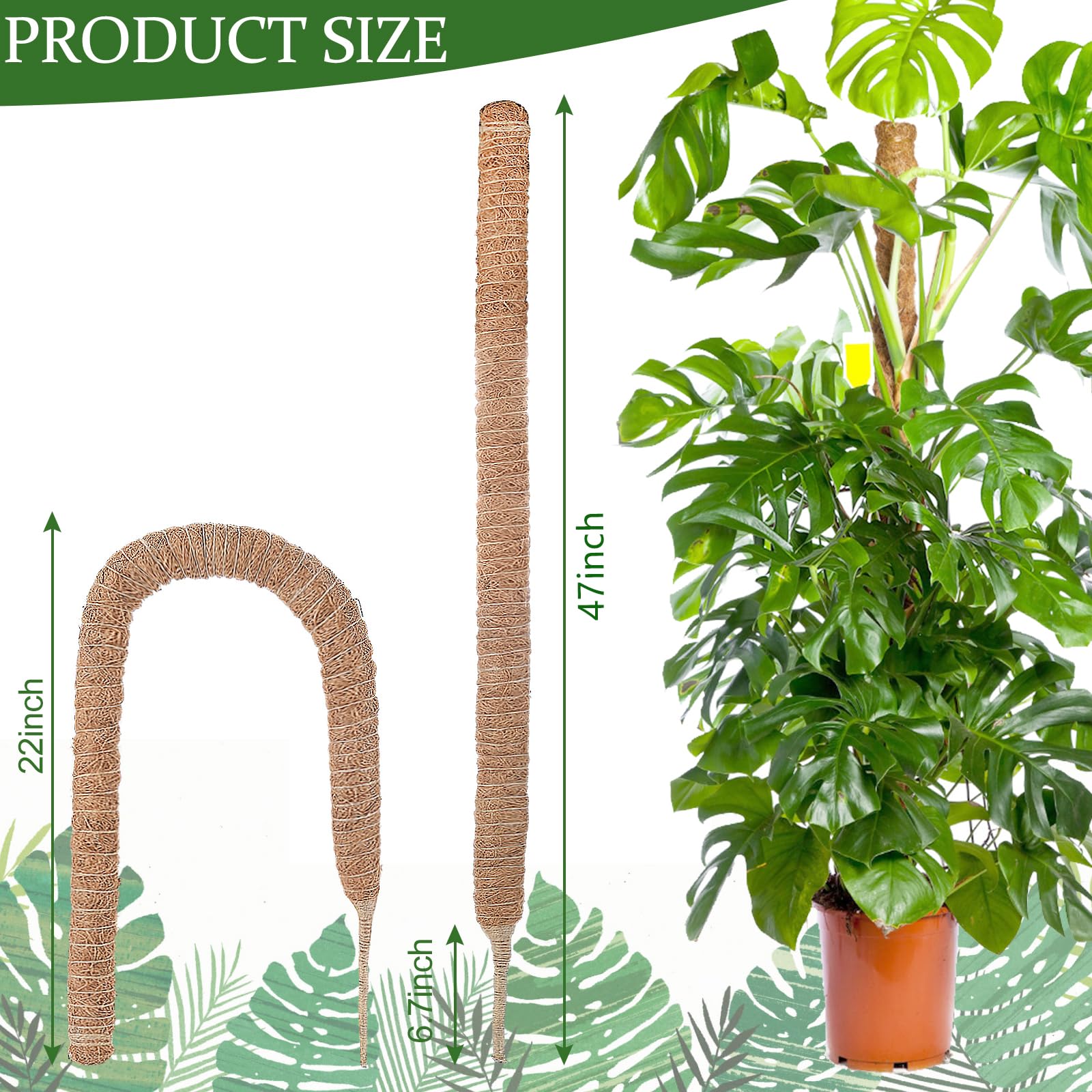 MABUSIYI Moss Pole,Bendable Plant Supports,47" Coir Moss Pole for ndoor and Outdoor Climbing Plants,Monstera & Cheese Plant.2M Garden Ties and 20M Twist ties with cutte(47" 1PCS) - Image 3