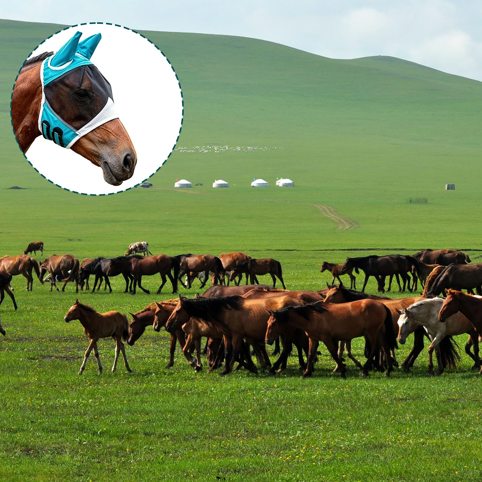 Masque Anti-Mouches pour Chevaux Bleu Protection UV (L)