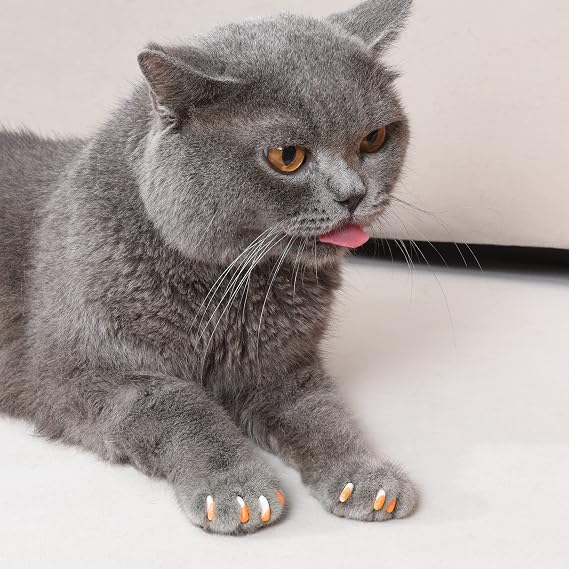 Kitty Caps Nail Caps for Cats Safe, Stylish & Humane Alternative to Declawing Stops Snags and Scratches, X-Small (Under 5 lbs), White with Orange & Clear with Blue Glitter - (Pack of 3)