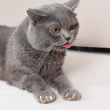 Kitty Caps Nail Caps for Cats Safe, Stylish & Humane Alternative to Declawing Stops Snags and Scratches, X-Small (Under 5 lbs), White with Orange & Clear with Blue Glitter - (Pack of 3)