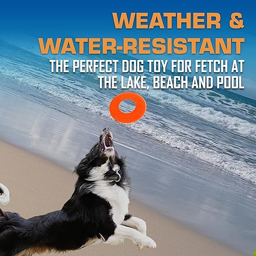 Miniatura 3 de Nerf Dog Atomic Flyer - Juguete para perros al aire libre, disco volador de 10 pulgadas, juguete de goma para perros medianos y perros grandes,