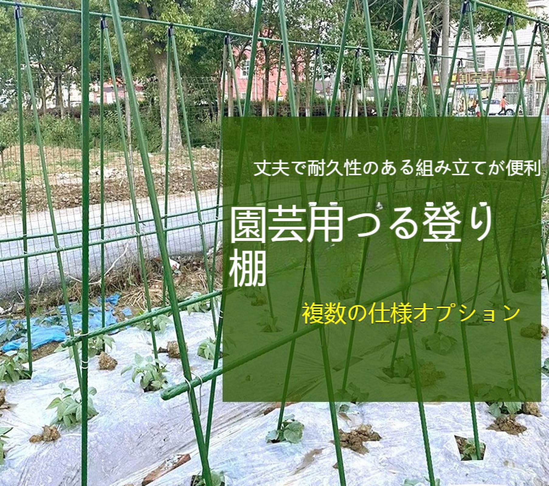 Amazon.co.jp: 園芸支柱ジョイント 調節可能クロスコネクタ イボ竹