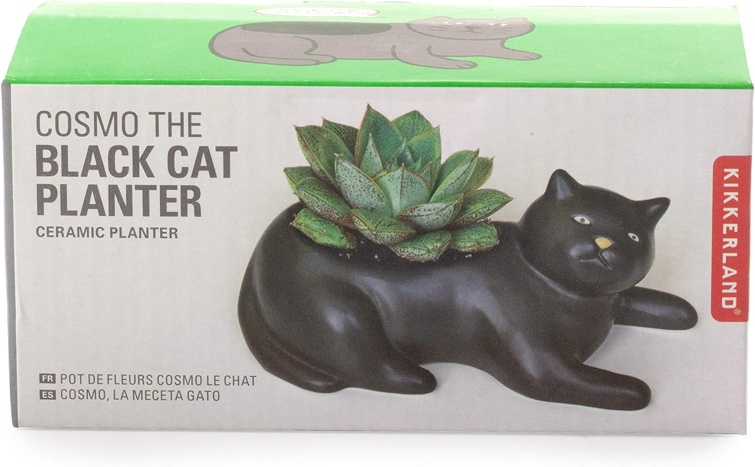 Kikkerland Cosmo The Black Cat Porcelain Planter, for Succulents, Herbs, Indoor/Outdoor House Plants, Home, Garden Decor